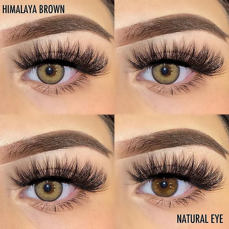 HIMALAYA BROWN