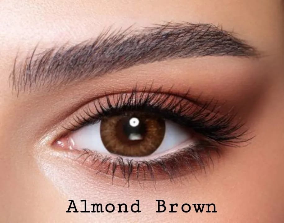 BELLA - ALMOND BROWN