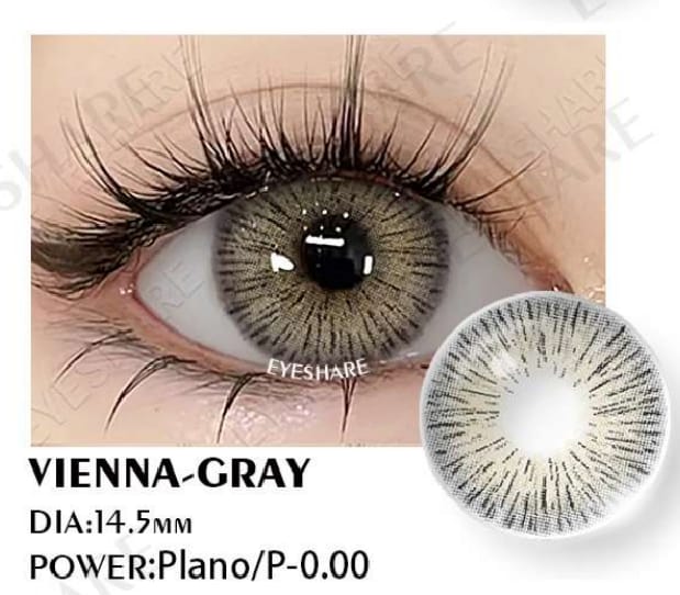 EYESHARE - VIENNA GRAY