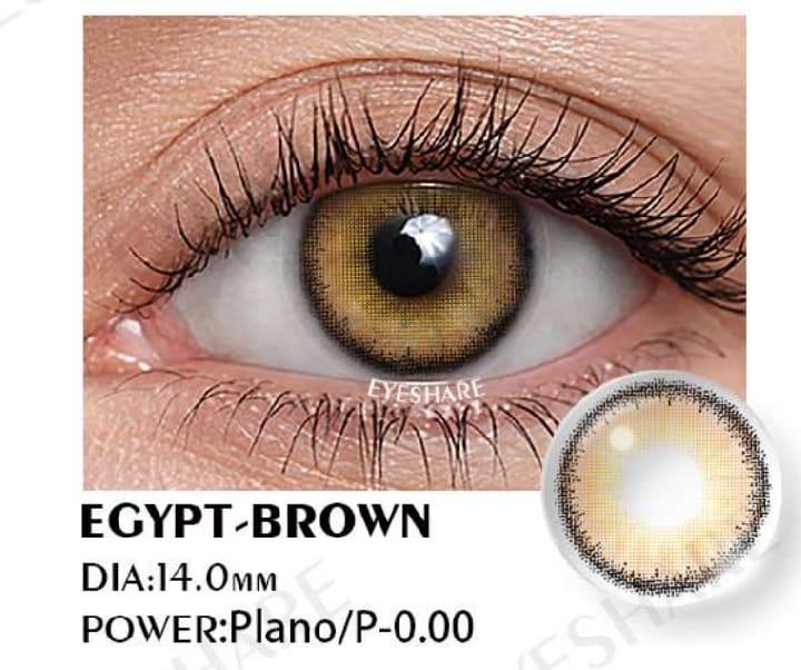 EYESHARE - EGYPT BROWN