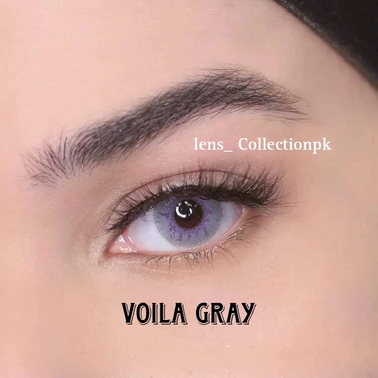 PREMIUM - VIOLA GRAY