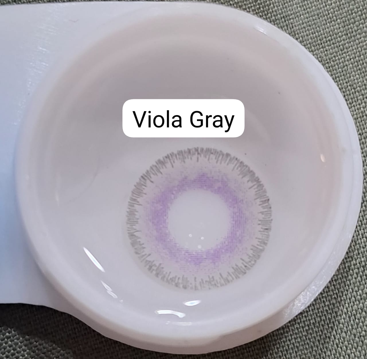 PREMIUM - VIOLA GRAY