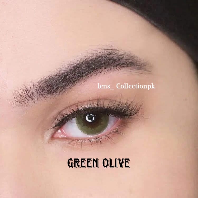 PREMIUM - GREEN OLIVE