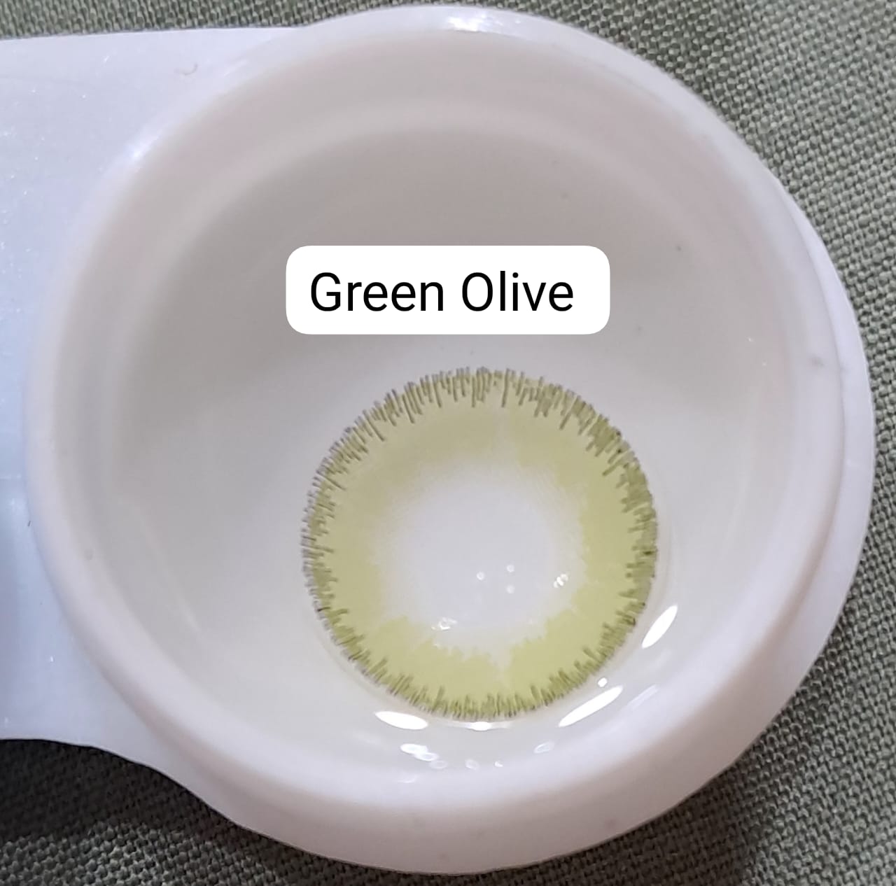 PREMIUM - GREEN OLIVE